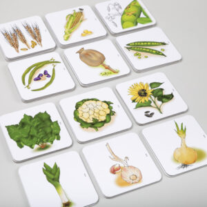 Obrázky úžitkových rastlín