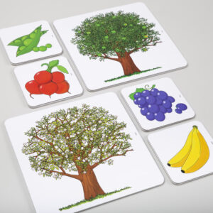 Obrázky ovocia a zeleniny