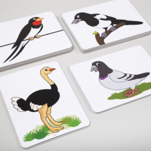 Obrázky zvieratiek vtáky