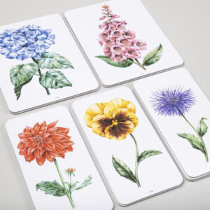 Obrázky záhradných rastlín