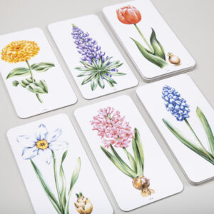 Obrázky záhradných rastlín