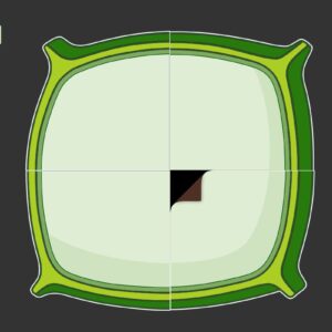 Prázdny podklad rastlinnej bunky a vyberateľné magnetické organely pripravené na skladanie na tabuli.