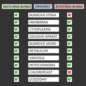 Prehľad zoznamu organel s označením, ktoré sa nachádzajú v rastlinnej a živočíšnej bunke.